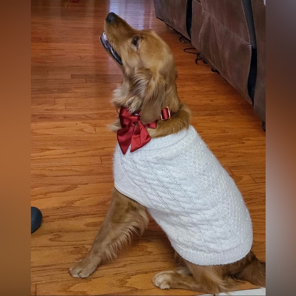 Pullover Knitted Classic Dog Sweater w/ Sequin Turtleneck for Sm/Med Breed NEW - Picture 11 of 11